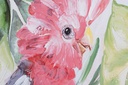 DECO CU-165661 TABLEAU CANVAS 70X3X100 COCKATOO 2 MOD.