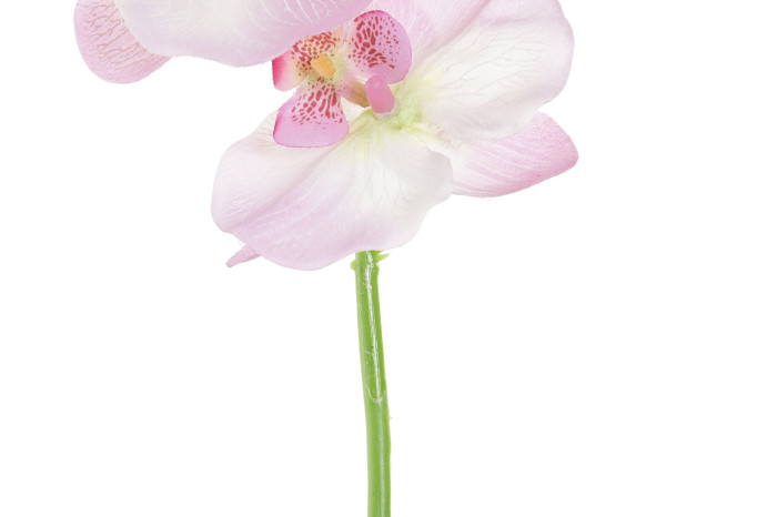DECO JA-181941 FLEUR PES PVC 14X7X91 ORCHIDAE 3 MOD.