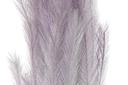 DECO JA-201795 BRANCHE PE 30X30X170 PLUMEAU 3 MOD.
