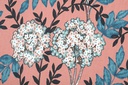 ST TISSU SCA910002 HORTENSIA SATIN 140 CM 100 %CO
TERRACOTTA