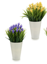 DECO 55290 POT BLANC FLEUR CLOCHE ASSORT 4 COLOR