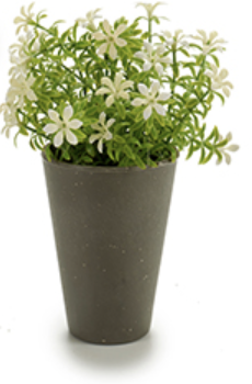 DECO 55299 POT GRIS FLEUR 6 PETALE ASSORT 4COULEUR