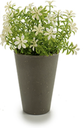 DECO 55299 POT GRIS FLEUR 6 PETALE ASSORT 4COULEUR