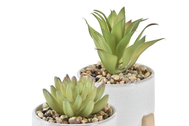 DECO JA-191143 PLANTE CIMENT PE 9,5X9,5X14 POT 2 MOD.