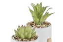 DECO JA-191143 PLANTE CIMENT PE 9,5X9,5X14 POT 2 MOD.