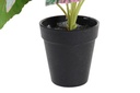 DECO JA-193855 PLANTE PE 10X10X22 VERT