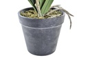 DECO JA-193975 PLANTE TISSU PE 11X11X40 GLA EUL 3 MOD.