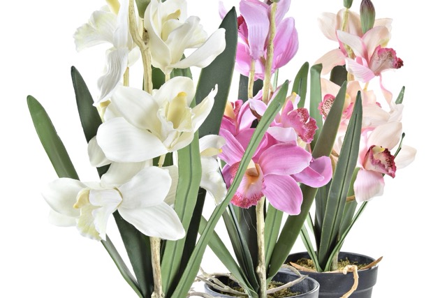 DECO JA-193975 PLANTE TISSU PE 11X11X40 GLA EUL 3 MOD.