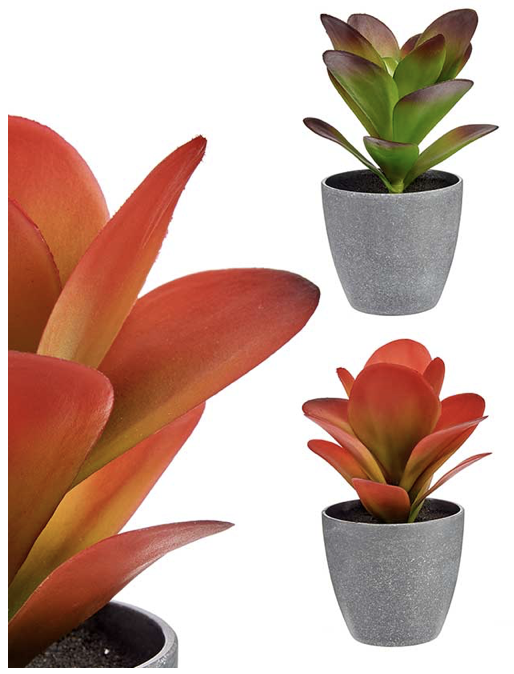 DECO 77065 POT PLANTE FEUILLE LONGUE ASSORT COULEUR 11X11X20CM