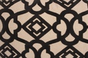 LL COUSSIN 45x45cm SHAYNA JAV