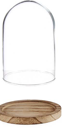 DECO 88354 COUPOLE VERRE BASE BOIS DIAM 12,5CM