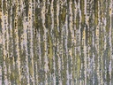 AT TISSU JAQ VEL SPRING VERT 600g 1,40m 
