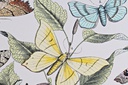 DECO CU-169824 TABLEAU CANVAS MDF 40X1,8X50 BOTANIC 2 MOD.