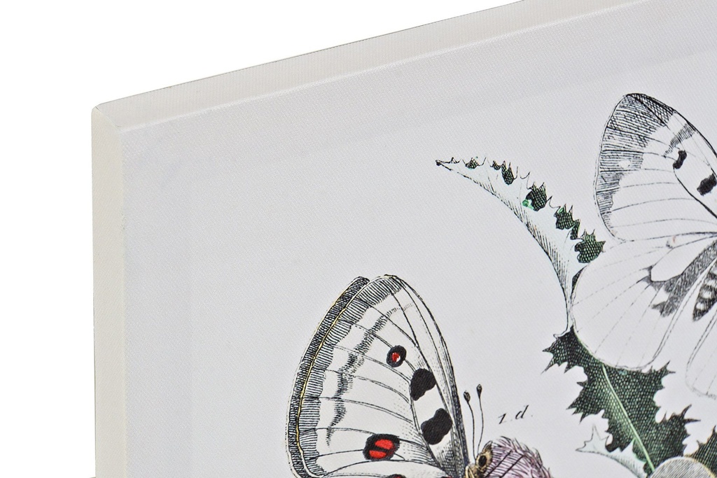 DECO CU-169824 TABLEAU CANVAS MDF 40X1,8X50 BOTANIC 2 MOD.