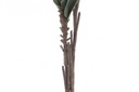 DECO JA-164853 FLEUR EVA 25X90 2 MOD.