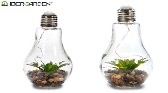 DECO 56980 LAMPE LAVANDE LED MIX