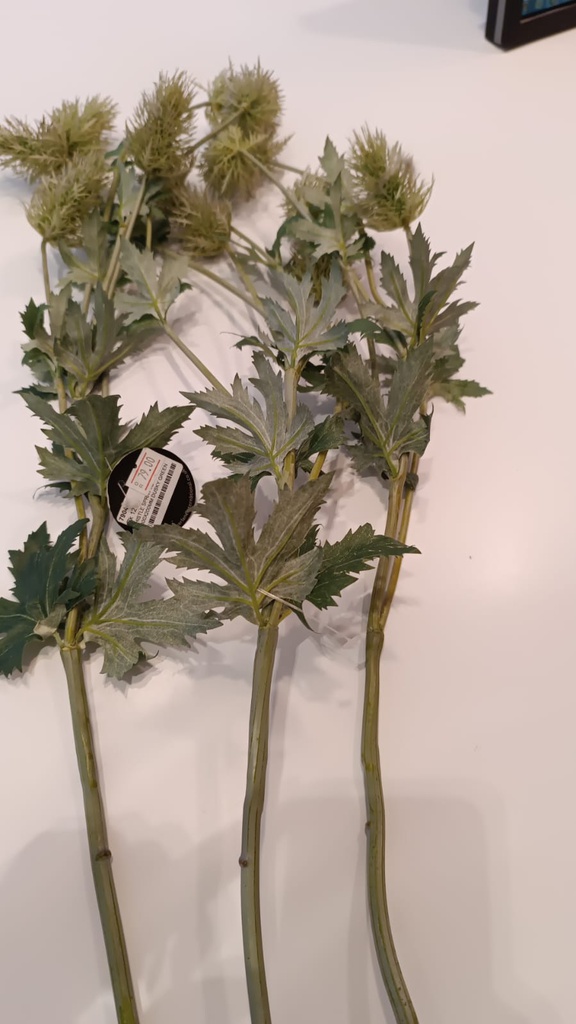 DECO 790446 FLEUR THISTLE SPRAY *5 H 800*200MM DUSKY GREEN
