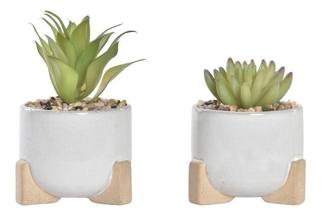 DECO JA-191143 PLANTE CIMENT PE 9,5X9,5X14 POT 2 MOD.