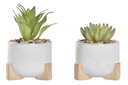 DECO JA-191143 PLANTE CIMENT PE 9,5X9,5X14 POT 2 MOD.