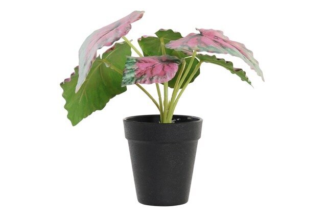 DECO JA-193855 PLANTE PE 10X10X22 VERT