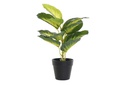 DECO JA-193865 PLANTE PVC PP 25X25X30 DIEFEMBAQUIA VERT