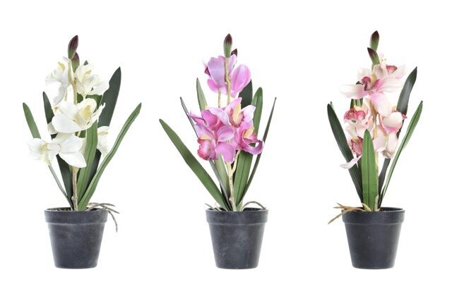 DECO JA-193975 PLANTE TISSU PE 11X11X40 GLA EUL 3 MOD.