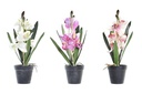 DECO JA-193975 PLANTE TISSU PE 11X11X40 GLA EUL 3 MOD.
