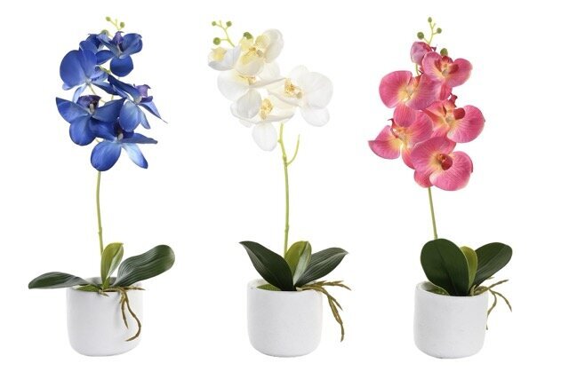 DECO JA-200698 PLANTE PE CIMENT 10X10X50 ORCHIDEE 3 MOD.