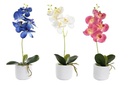 DECO JA-200698 PLANTE PE CIMENT 10X10X50 ORCHIDEE 3 MOD.