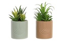 DECO JA-203690 PLANTE PE CIMENT 10X10X18 ARCS 2 MOD.