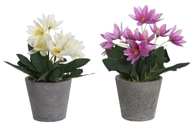 DECO JA-205827 PLANTE POLYESTER PE 8X8X18 LOTUS 2 MOD.