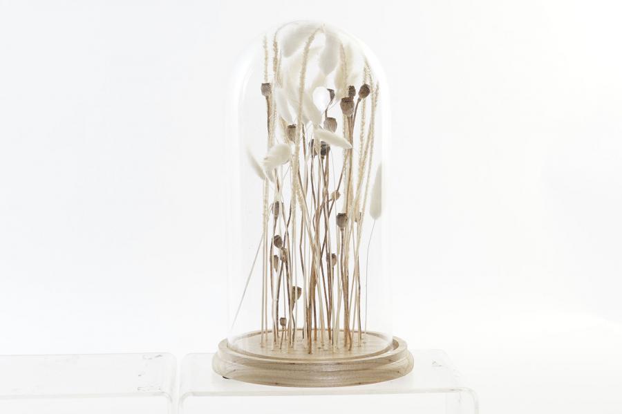 DECO FD-193637 DECORATION FLEUR SECHEE VERRE 18X18X32 APIS