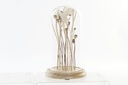 DECO FD-193638 DECORATION FLEUR SECHEE VERRE 15X15X26 APIS