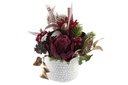 DECO NV-189235 PLANTE PE 26X26X24 ROUGE