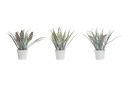 DECO JA-188731 PLANTE PE 9X9X28 3 MOD.