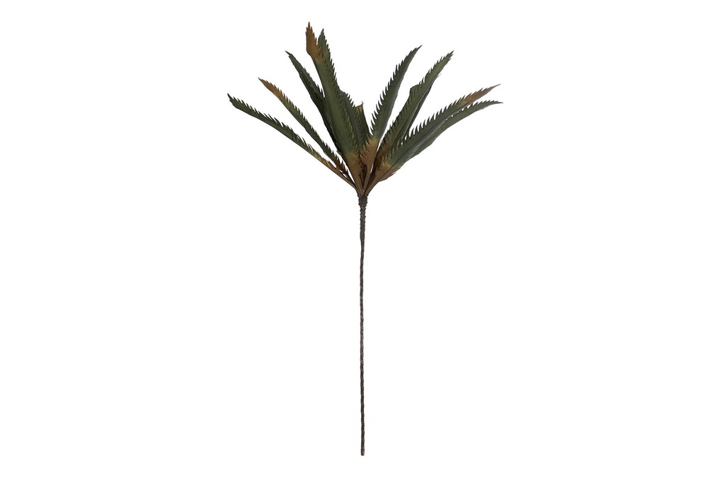 DECO JA-158537 FLEUR EVA 60X40X106 PALMIER VERT
