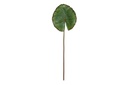DECO JA-158575 PLANTE PU PE 24X80 80 FEUILLE VERT