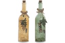 DECO LD-163908 BOUTEILLE DÉCORATION LED VERRE 7,5X9X29 2 MOD.