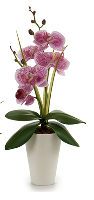 DECO 55270 ORQUIDEE POT AVECIQUE BLANC 37CM S 4CL
