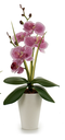 DECO 55270 ORQUIDEE POT AVECIQUE BLANC 37CM S 4CL