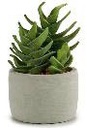 DECO 23809 CACTUS PVC ECHEVERIA 21CM