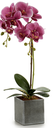 DECO 55247 ORQUIDEE POT CARRE GRIS 51CM SUR 4COL