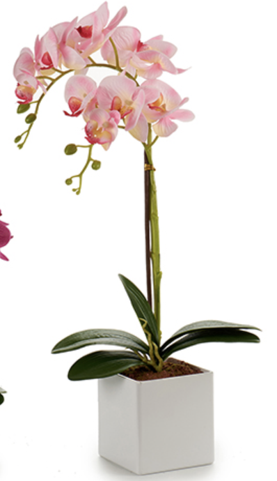 DECO 55250 ORQUIDEE POT CARRE BLANC 51CM SUR 4