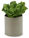 DECO 55757 POT PLANTE FEUILLE ONDULE 3 COL SURT