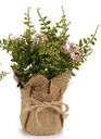 DECO 20806 FLEUR ARTIFITIELLE EN POT JUTES ASSORT 4