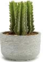 DECO 23767 CACTUS PVC HAUTEUR FEUILLES PIONTUES 20CM