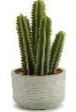 DECO 23786 CACTUS PVC HAUTEUR FEUILLES PIONTUES 39CM