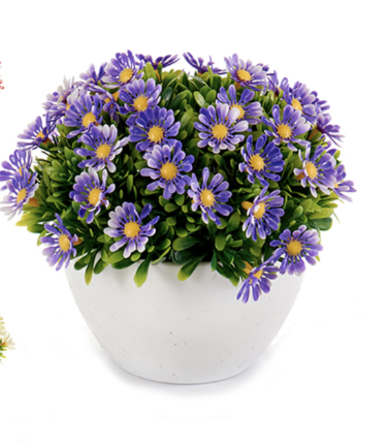 DECO 50635 PLANTE FLEURES MARGARITA ASSORT 4 COL