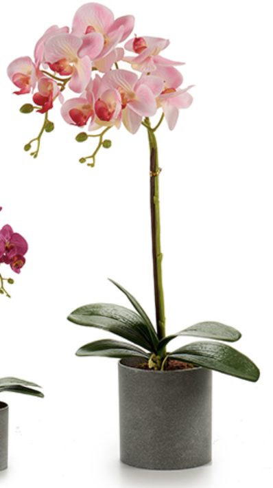 DECO 55246 ORQUIDEE POT ROND GRIS 51CM SUR 4C