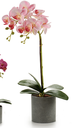 DECO 55246 ORQUIDEE POT ROND GRIS 51CM SUR 4C